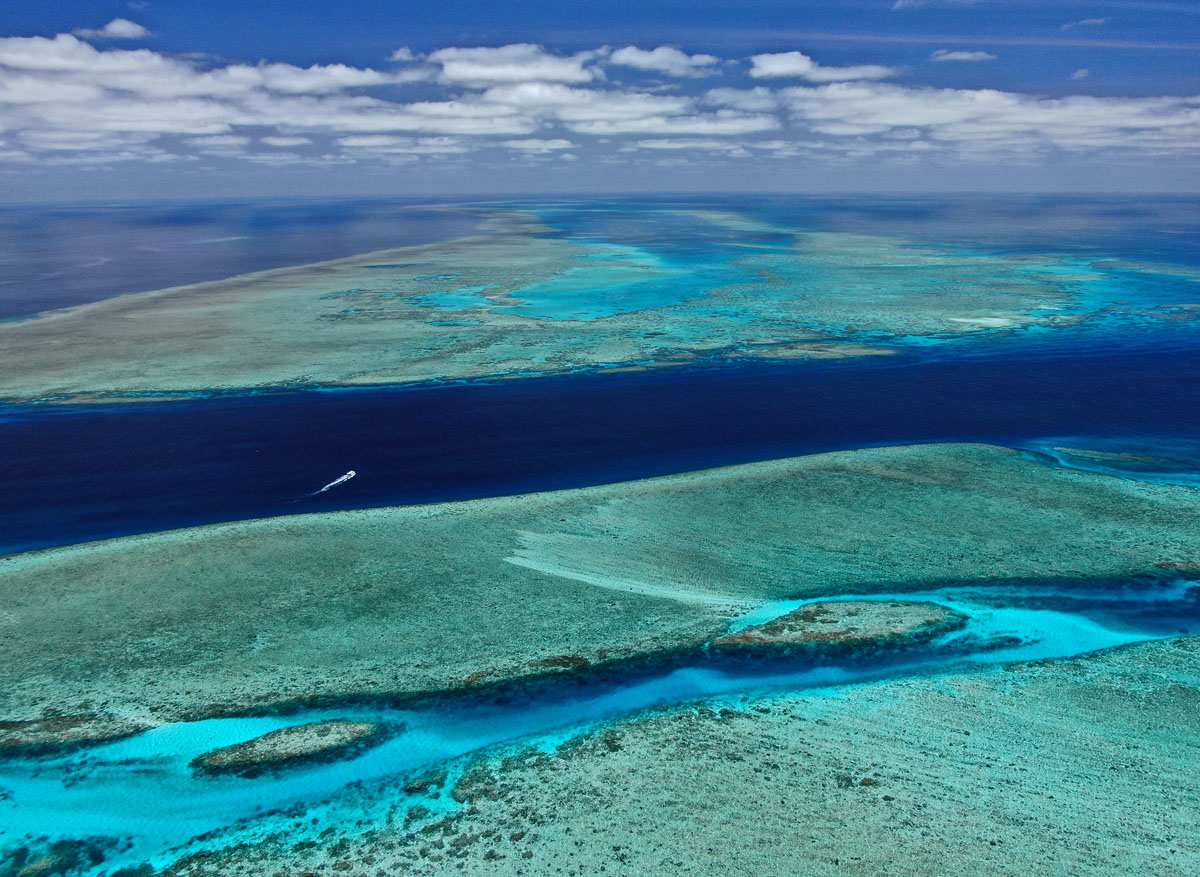 Mission Complete The Great Barrier Reef Survey Scuba Diver Life