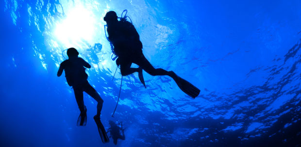 why we scuba dive