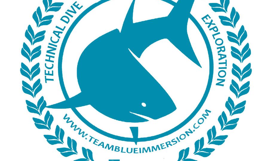 Team-Blue-Immersion-logo