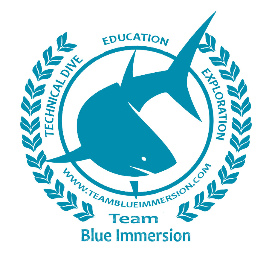Team-Blue-Immersion-logo