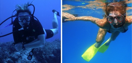 Scuba Diving vs. Snorkeling