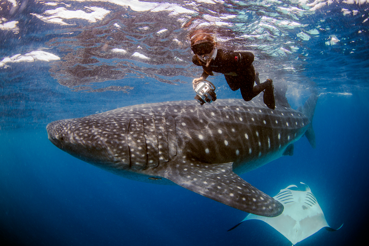 Isla Mujeres, Mexico: reefs, relics and whale sharks