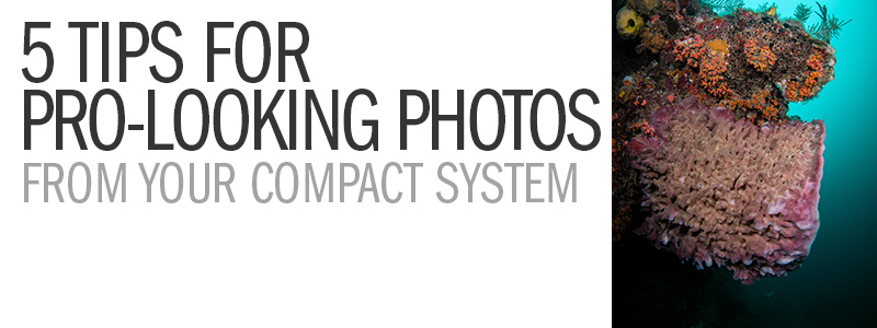 5 Tips For Pro-Looking Photos From Your Compact Camera System