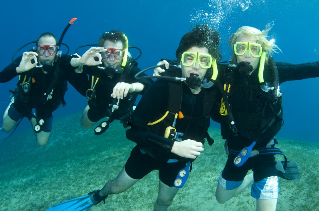 group of scuba divers