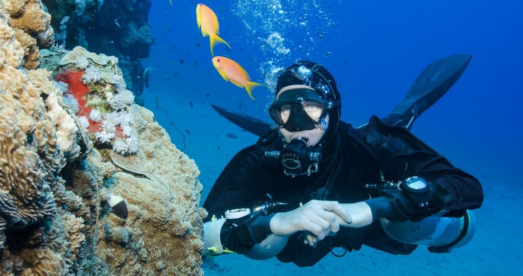 Scuba Therapy for Wounded War Vets