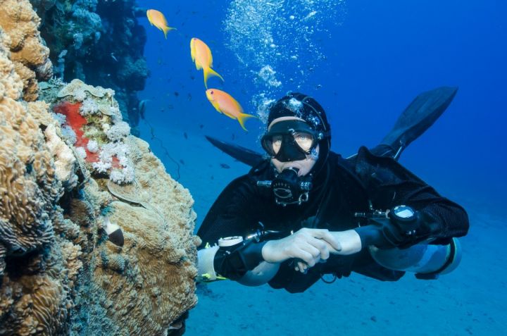 Scuba Therapy for Wounded War Vets • Scuba Diver Life