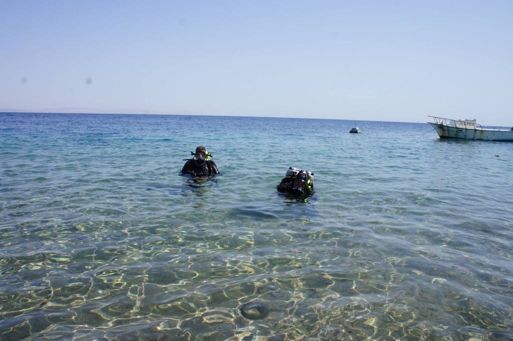 Diving Dahab • Scuba Diver Life