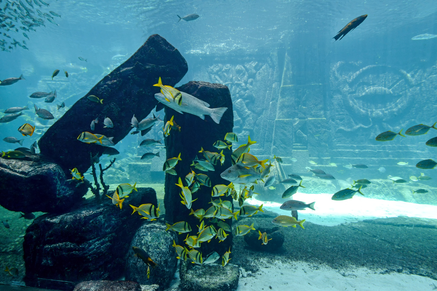 Fact Or Fiction: The Search For Atlantis - Scuba Diver Life