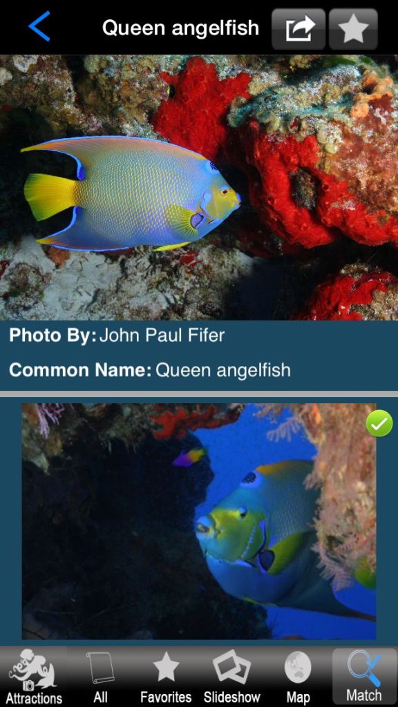ReefID Marine Life Matching