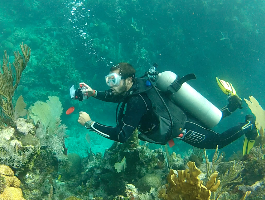 Digital Underwater Photography Utila Dive Center