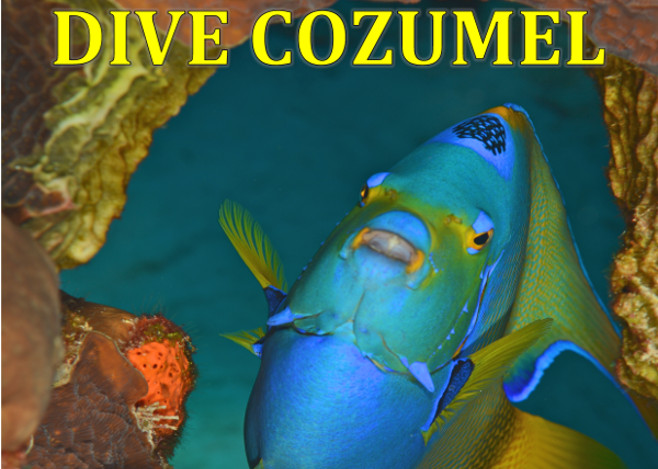 Dive Cozumel featured