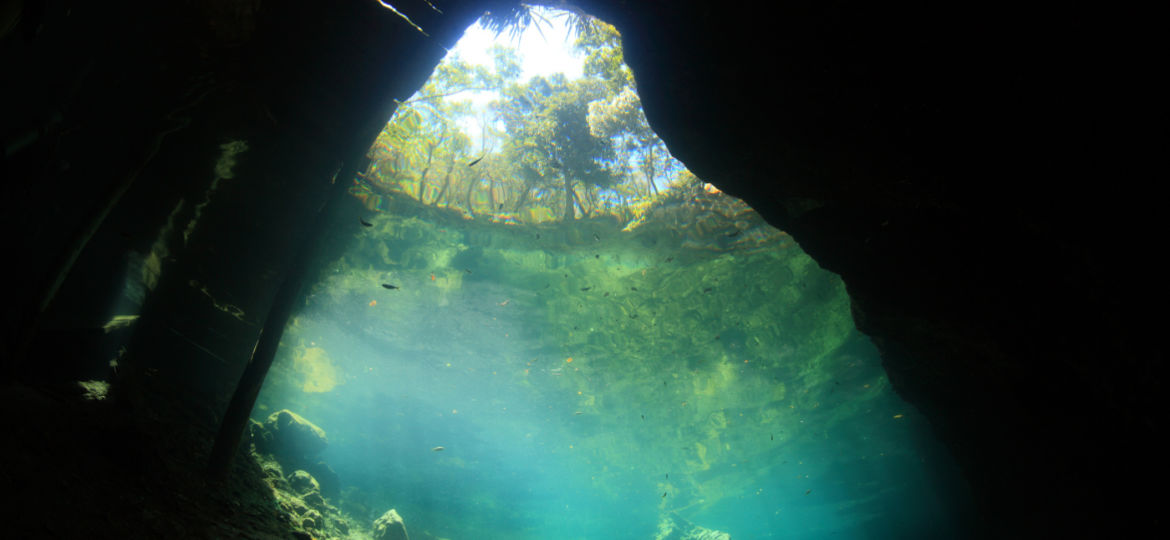 Ginnie Springs top US dive destinations