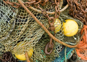 nets_featured