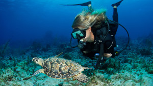 Selects_0008_cayman 30066