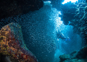 complacency_featured