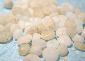 microplastic_featured