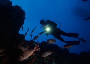 Adventure Diving on a Coral Reef, Indian Ocean