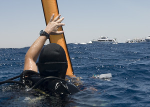Rear view of a Scuba diver siganlling a dive boat using a surface marker buoy.