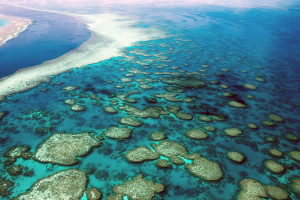 NASA will look at coral reefs