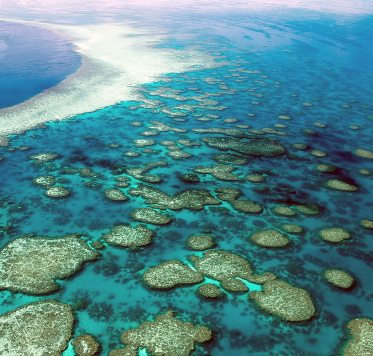 NASA will look at coral reefs