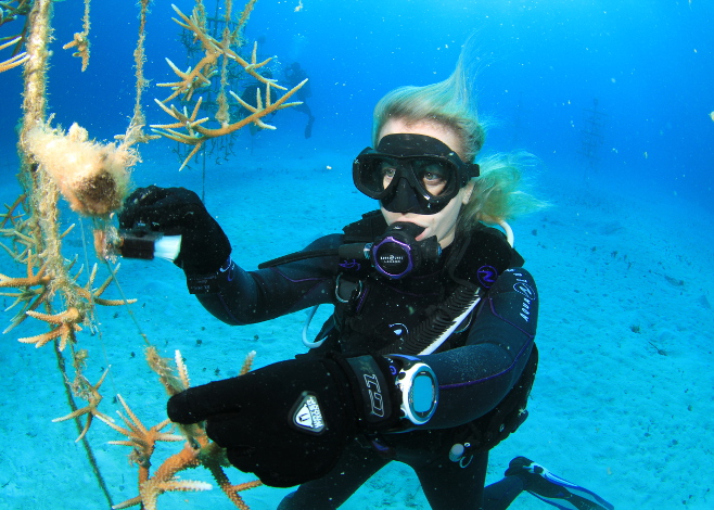 Help Restore Coral Reefs