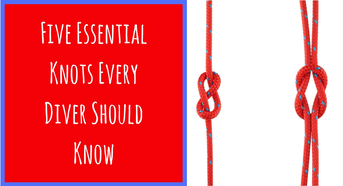 Five Essential Knots Every Diver Should Know • Scuba Diver Life