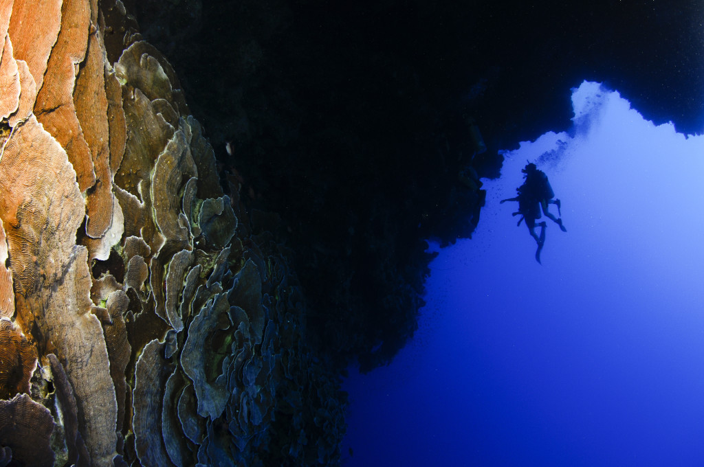 scuba divers in Blue hole