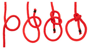 knot series : bowline bend
