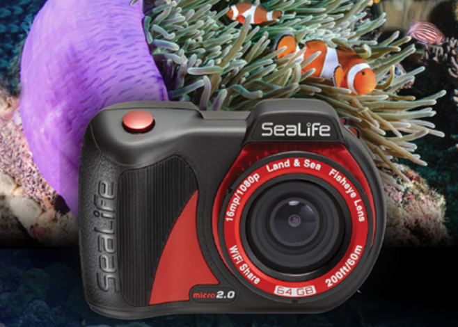 sea_life_featured