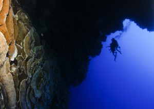 Great Tec Diving Destinations