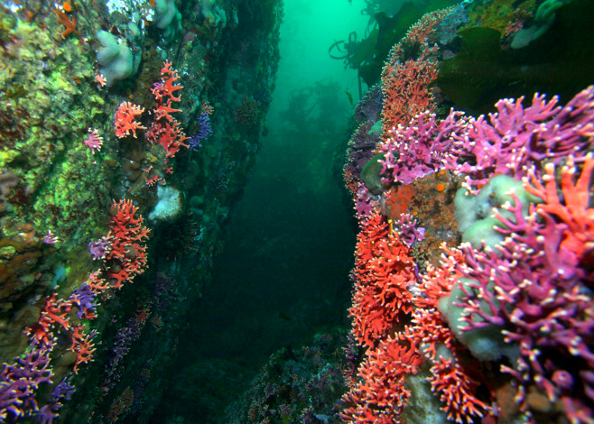 Monterey Bay National Marine Sanctuary