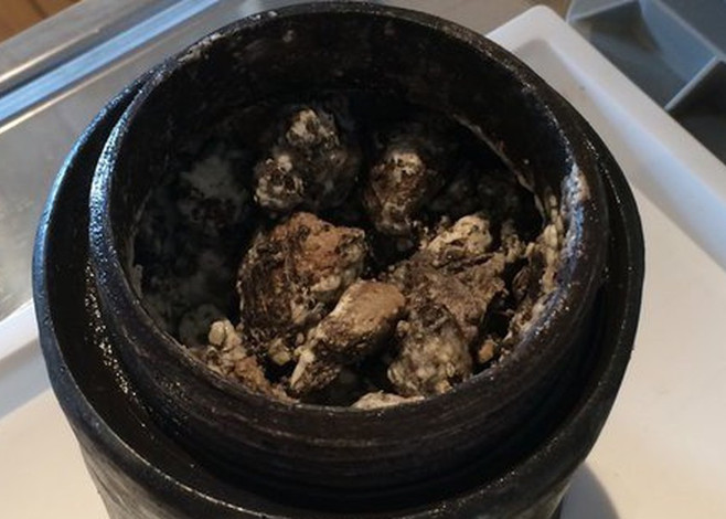Swedish divers find stinky cheese