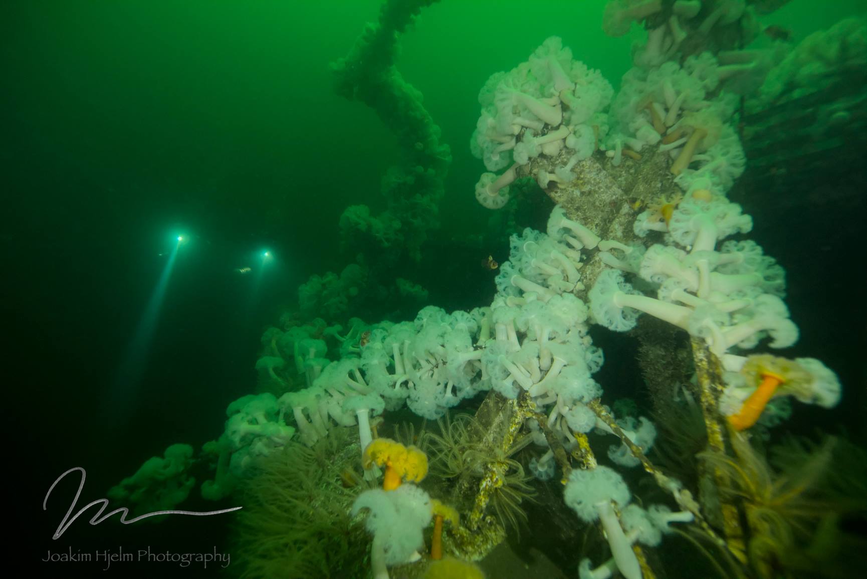 Nanaimo Wreck Diving • Scuba Diver Life