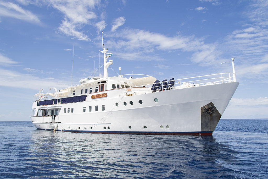 A Pelagian Cruise Reveals Indonesia's Underwater Riches • Scuba Diver Life