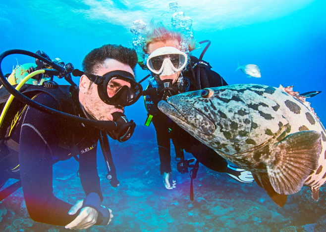 underwater photography essentials