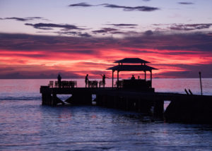 Wakatobi