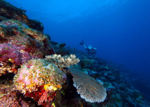National Marine Sanctuary of American Samoa