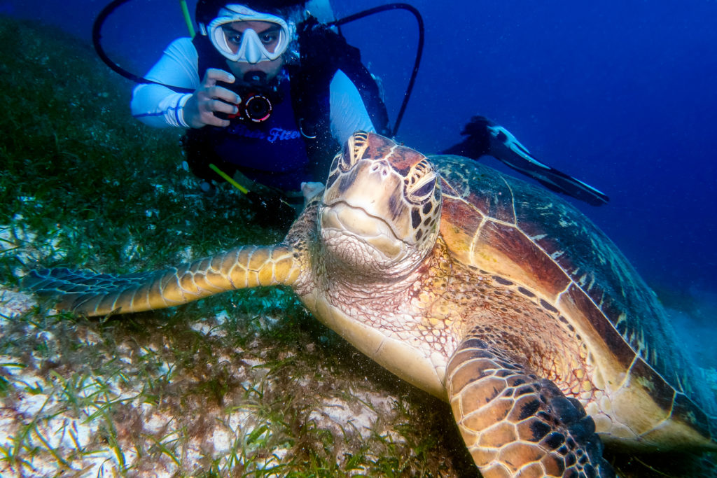 Diving Onboard the S/Y Philippine Siren • Scuba Diver Life