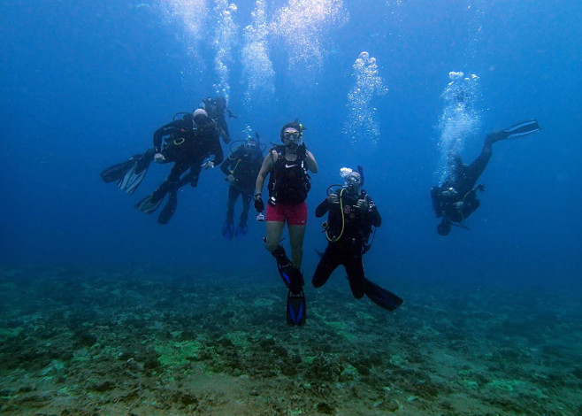 Diving Marines in Hawaii