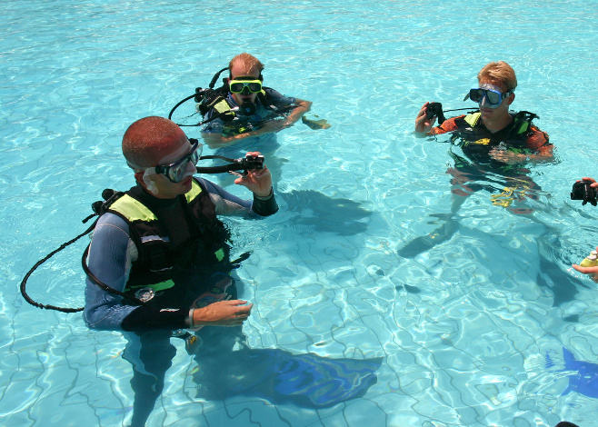 scuba instructor course