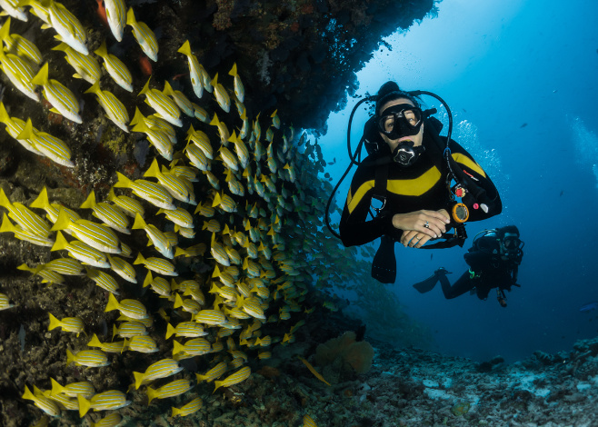 diving with a dive guide