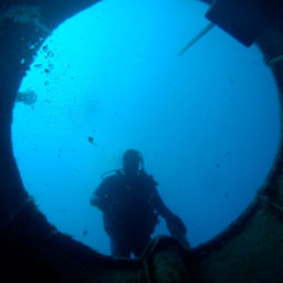 scuba diving in Tobermory