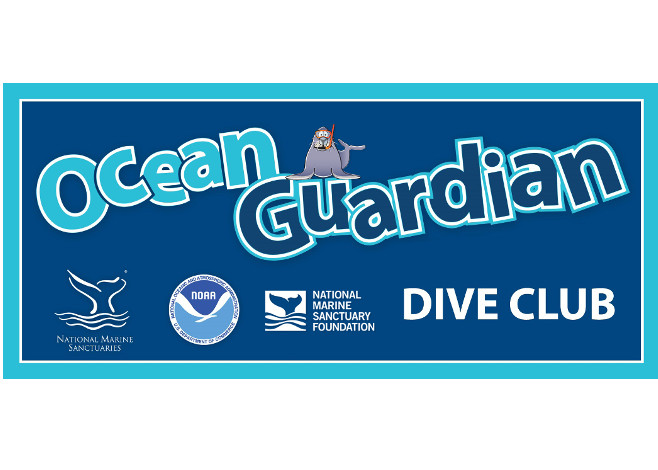 Ocean Guardian Dive Club