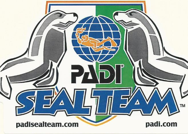 In the second of our series on dive programs for children, we’ll cover everything you need to know about the PADI Seal Team program.