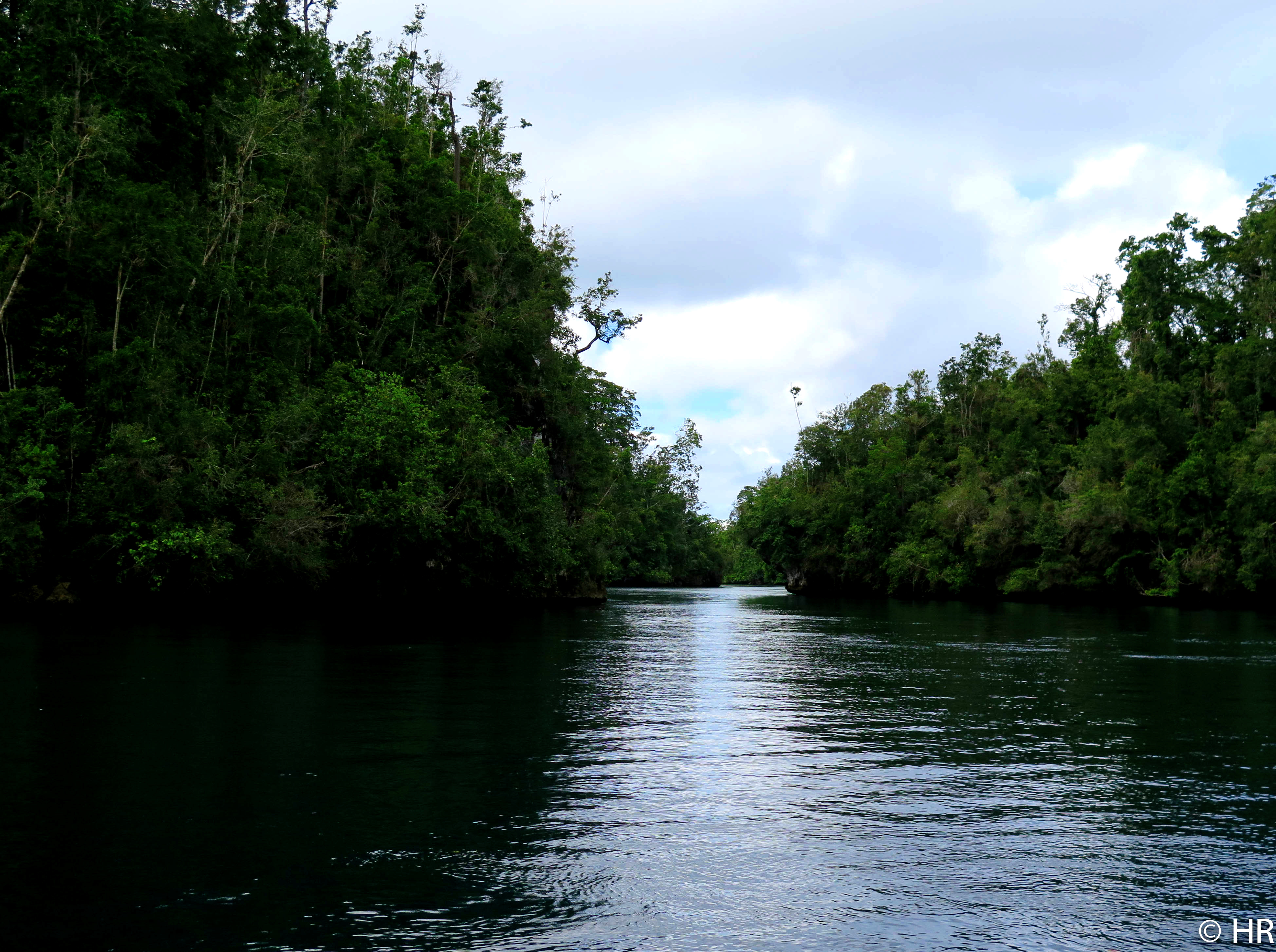 Scuba Diving in Raja Ampat • Scuba Diver Life