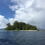 Tiny Kennedy Island sits just in front of Fatboys Resort. Visitors today can expect a few artifacts, some informative literature on Kennedy and his crew, and a small bar with refreshments. (Photo credit: Rebecca Strauss)