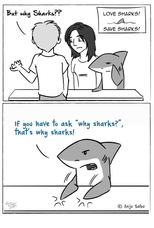 Can Cartoons Change Peoples’ Misconceptions About Sharks? • Scuba Diver ...