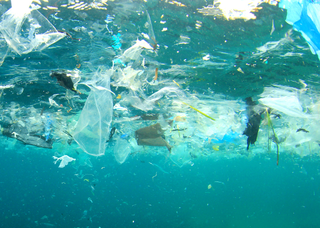 garbage patch