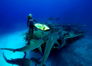 SeaBob