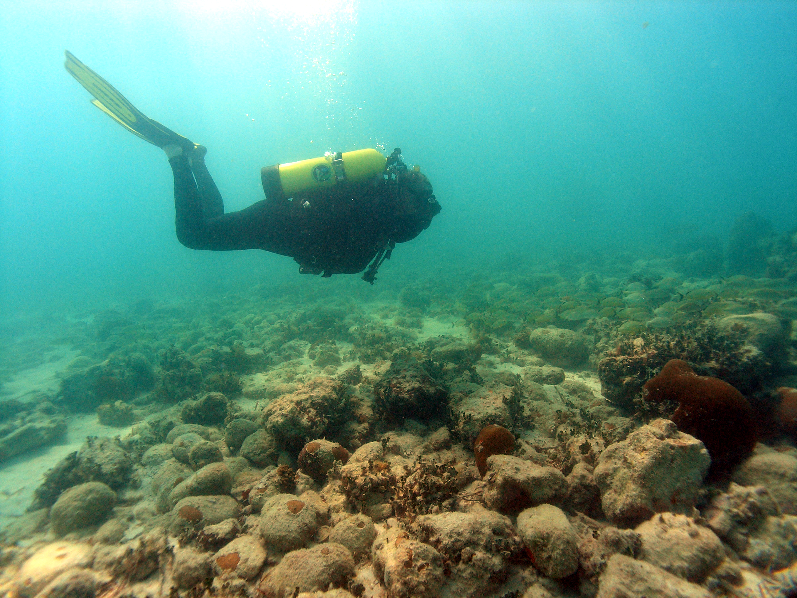 Diver-and-Ballast-Pile.jpg